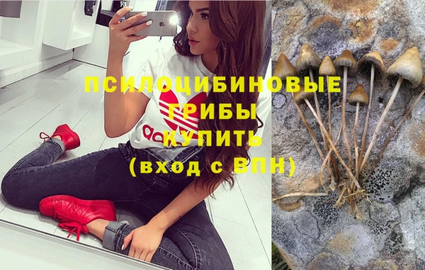 прущая мука Алзамай