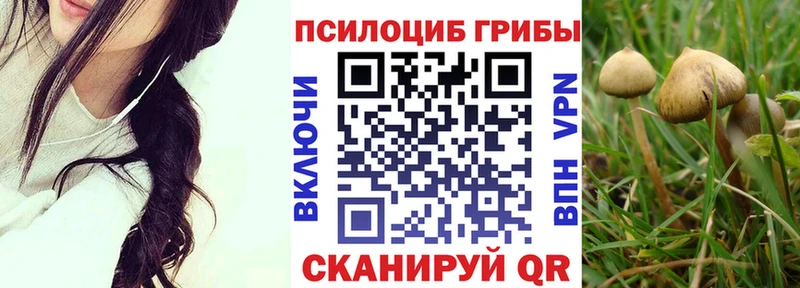 Псилоцибиновые грибы Psilocybine cubensis  Камешково 